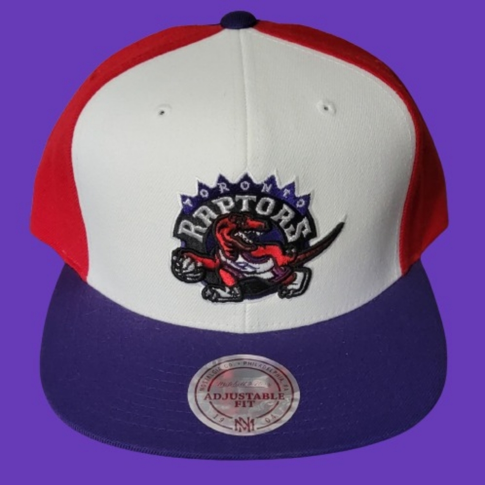 Toronto Raptors Mitchell & Ness, Hardwood Classics Snap Back.